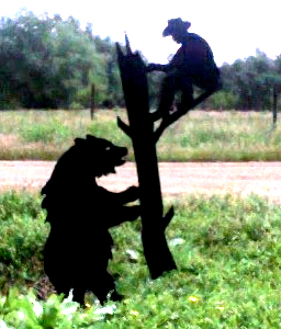 Cowboy (in tree) with Bear