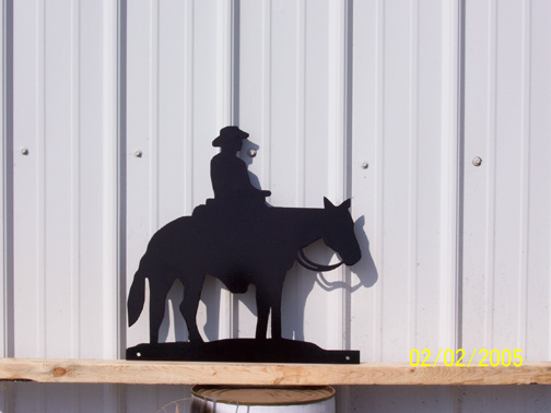 Cowboy on Horse